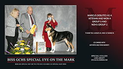 Special Collies -- GCHS Special Eye On The Mark