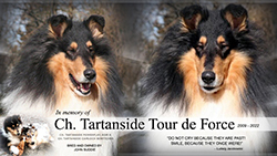 Tribute To Toury -- CH Tartanside Tour de Force ROM