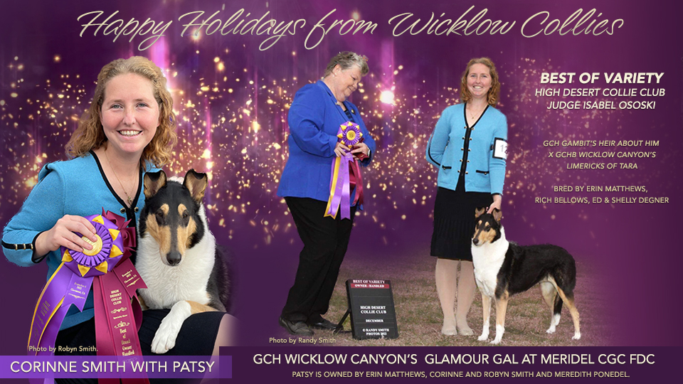 Wicklow Collies -- GCH Wicklow Canyon's Glamour Gal At Meridel CGC FDC