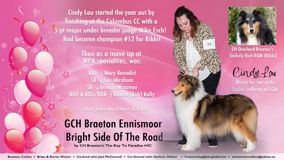 Braeton Collies -- GCH Braeton Ennismoor Bright Side Of The Road