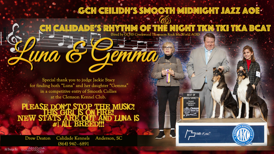 Calidade Collies -- GCH Ceilidh's Smooth Midnight Jazz / CH Calidade's Rhythm Of The Night TKN TKI TKA BCAT
