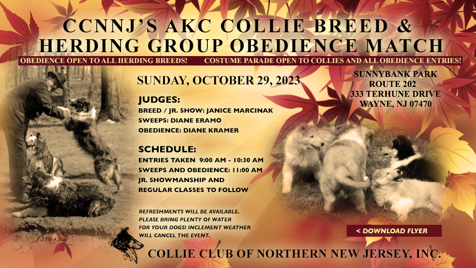 Collie Club Of Northern New Jersey -- 2023 Collie Breed and Herding Group Obedience Match