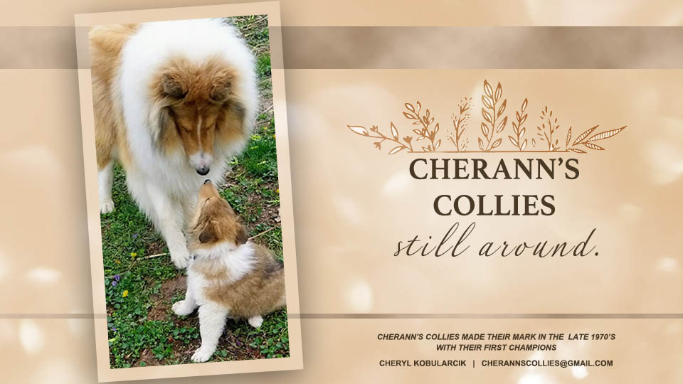 Cherann's Collies