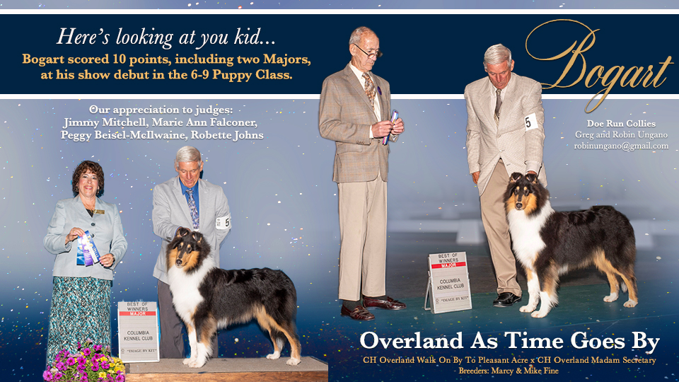 Doe Run Collies -- Overland As Time Goes By