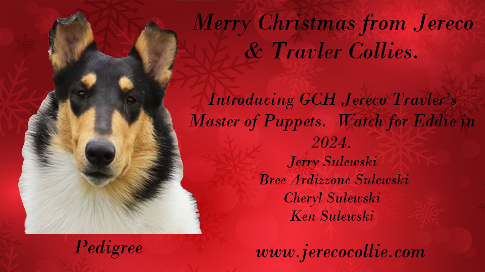 Jereco Collies / Travler Collies -- GCH Jereco Travler's Master of Puppets
