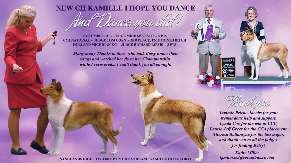 Kamille Collies -- CH Kamille I Hope You Dance