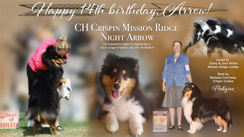 Mission Ridge -- CH Crispin Mission Ridge Night Arrow