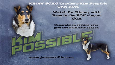 Travler Collies -- GCHG Travler's Kim Possible TKN ROM