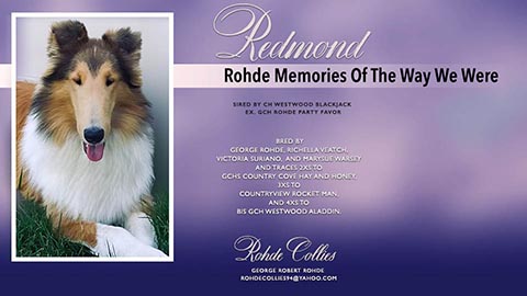 Rohde Memories Of The Way We Were