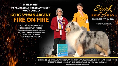 GCHG Sylvan Argent Fire On Fire