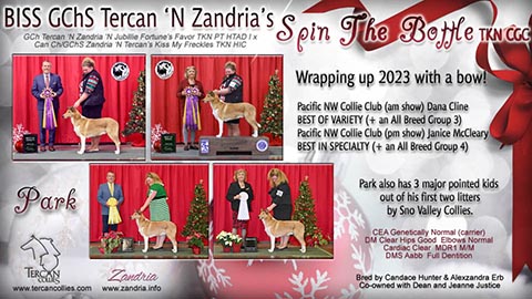 Tercan Collies / Zandria Collies -- GCHS Tercan 'N Zandria's Spin The Bottle TKN CGC