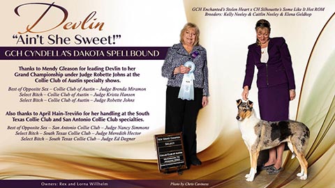 Rex and Lorna Willhelm -- GCH Cyndella's Dakota Spellbound