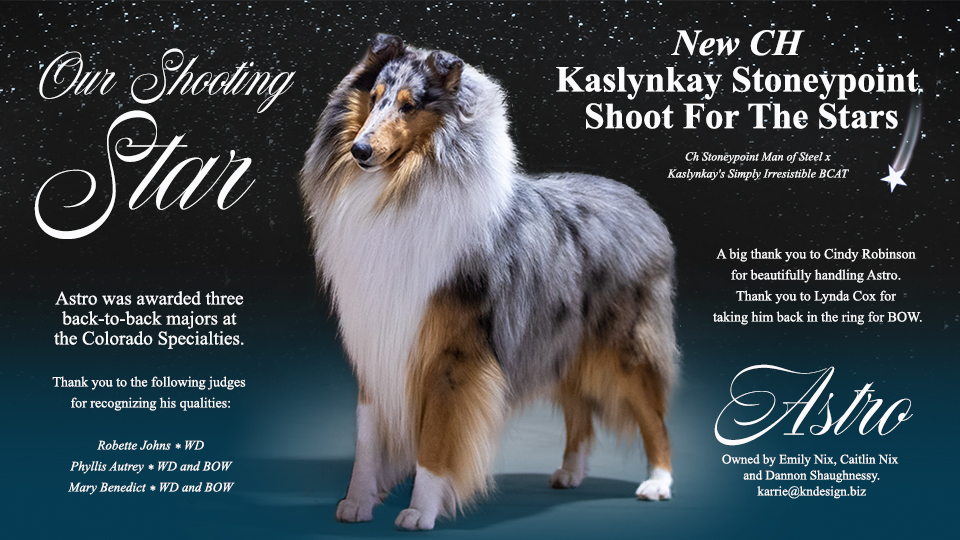 Stoneypoint Collies -- CH Kaslynkay Stoneypoint Shoot For The Stars