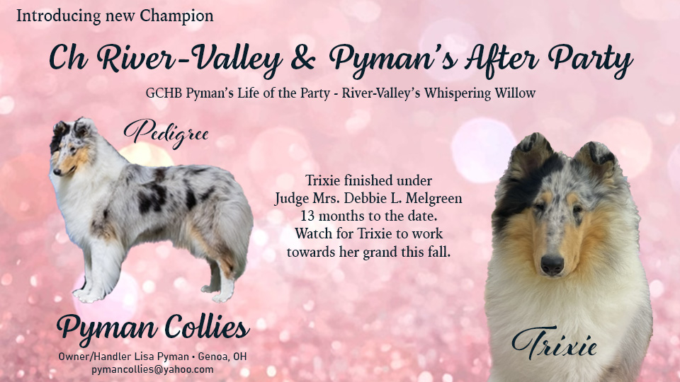 Pyman Collies -- CH River-Valley & Pyman's After Party