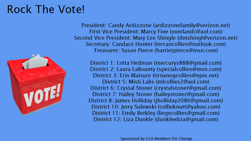 CCA Members For Change -- Rock The Vote!