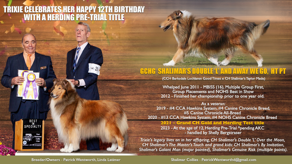 Shalimar Collies --GCHG Shalimar's Double 'L" And Away We Go, HT PT