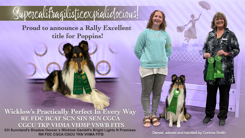 Wicklow Collies -- Wicklow's Practically Perfect In Every Way RE FDC BCAT SCN SIN SEN CGCA CGCU TKP VHMA VHMP VSWB FITS 