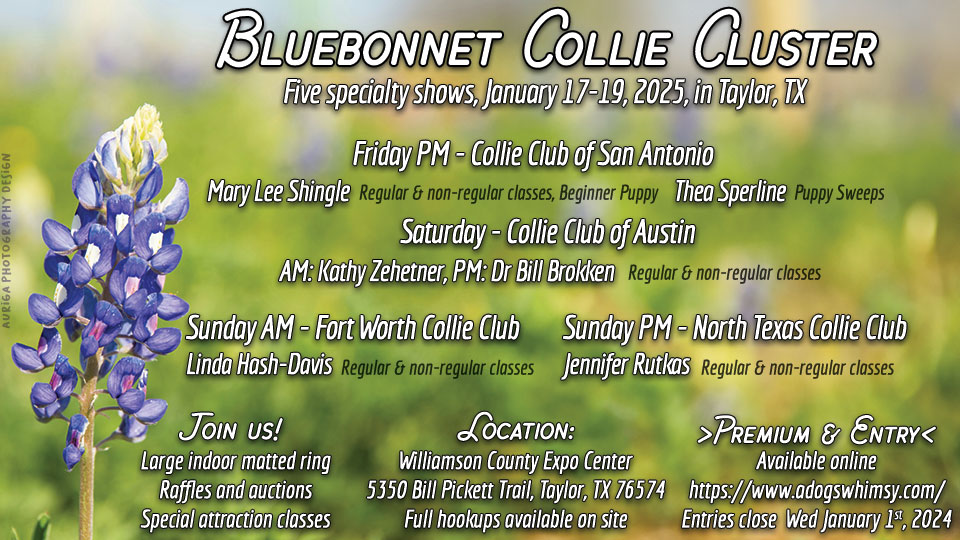 Bluebonnet Collie Cluster -- 2025 Specialty Shows for Collie Club of San Antonio, Collie Club of Austin, Fort Worth Collie Club, North Texas Collie Club