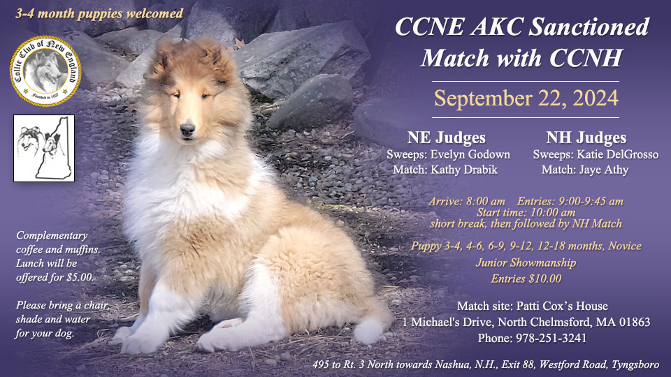 Collie Club of New England / Collie Club of New Hampshire -- 2024 AKC Sanctioned Match