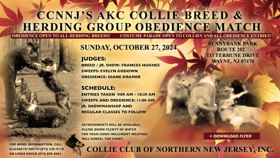 Collie Club of Northern New Jersey -- 2024 Collie Breed and Herding Group Obedience Match