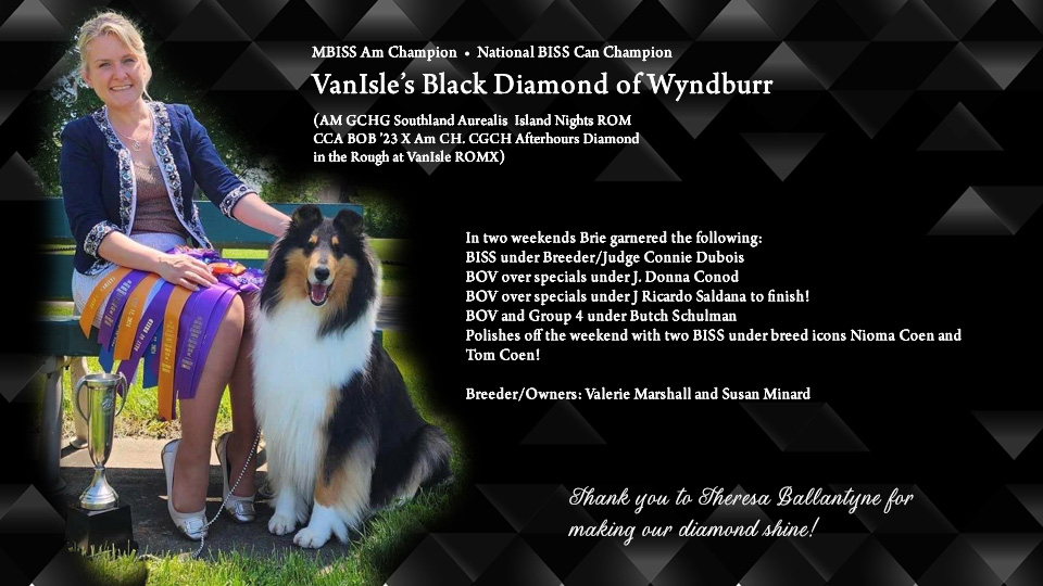 VanIsle Collies / Prairiepine Collies -- AM/CAN VanIsle's Black Diamond Of Wyndburr