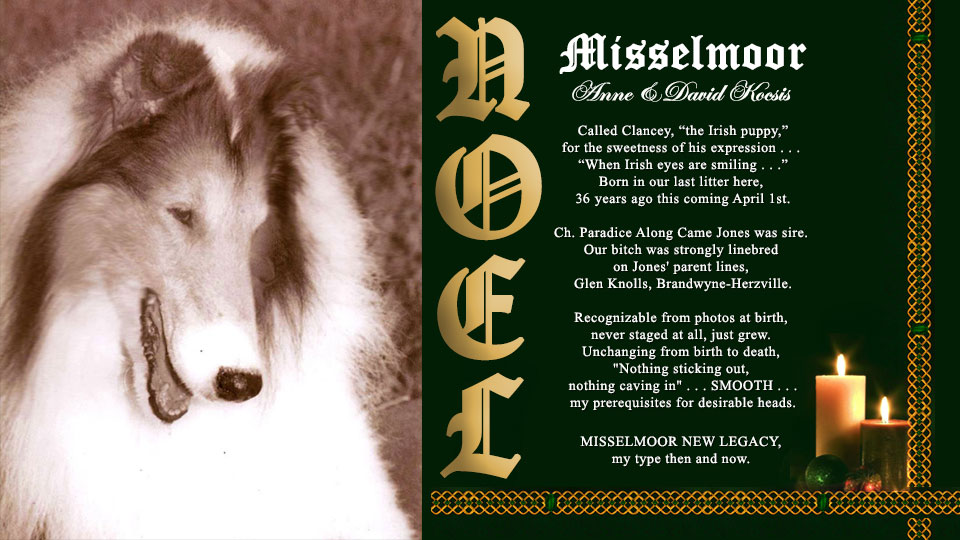 Collies Online Homepage