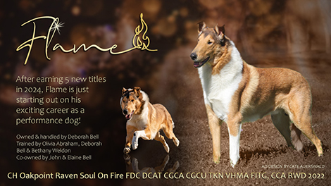 Deborah Bell -- CH Oakpoint Raven Soul On Fire FDC DCAT CGCA CGCU TKN VHMA FITG