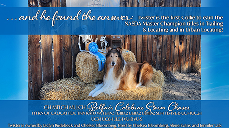 Deborah Bell -- CH Oakpoint Raven Soul On Fire FDC DCAT CGCA CGCU TKN VHMA FITG