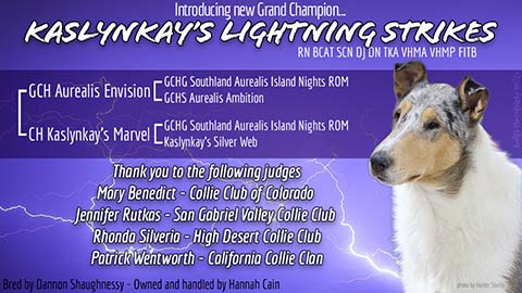 GCH Kaslynkay's Lightning Strikes RN BCAT SCN SIN DS DJ TKA VHMA VHMP FITB