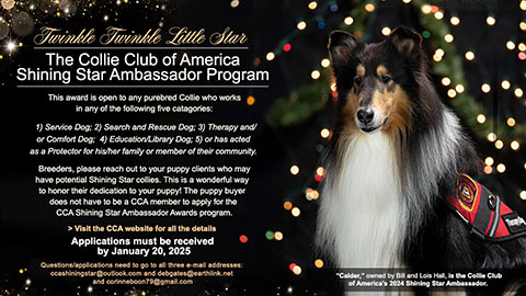 The Collie Club of America Shining Star Ambassador Program