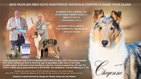 Shepherd Mission Collies -- GCHG Shepherds' Mission & Chrysalis Raise Your Glass