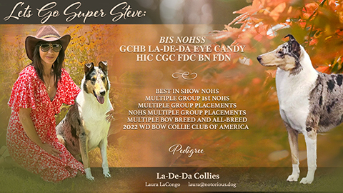 La-De-Da Collies -- GCHB La-De-Da's Eye Candy CGC FDC FDC HIC BN