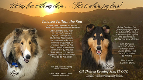 Tom and Jeannette Poling -- CH Chelsea Evening Star IT CGC / Chelsea Follow the Sun