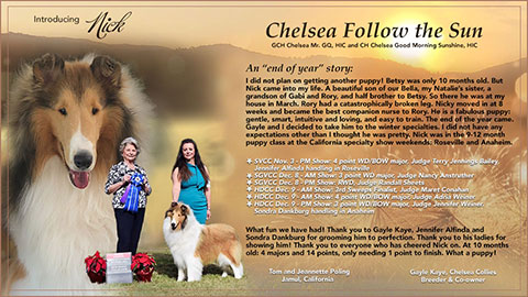 Tom and Jeannette Poling and Gayle Kaye, Chelsea Collies -- Chelsea Follow The Sun