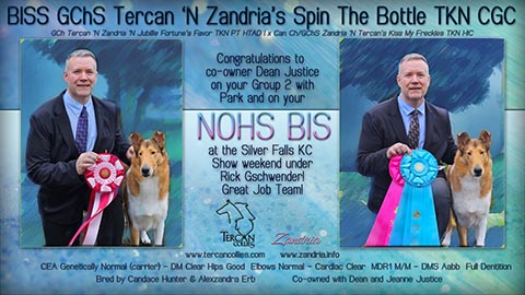 Tercan Collies / Zandria Collies -- GCHS Tercan 'N Zandria's Spin The Bottle TKN CGC