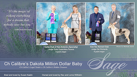 Rex and Lorna Willhelm -- CH Calibre's Dakota Million Dollar Baby