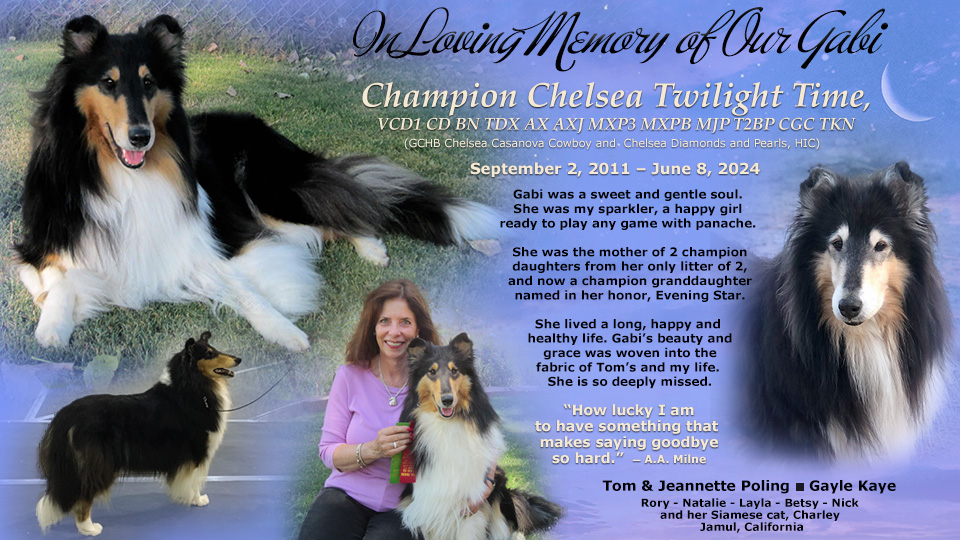 Tom and Jeannette Poling -- In loving memory of CH Chelsea Twilight Time VCD1 CD BN TDX AX AXJ MXP3 MXPB MJP T2BP CGC TKN