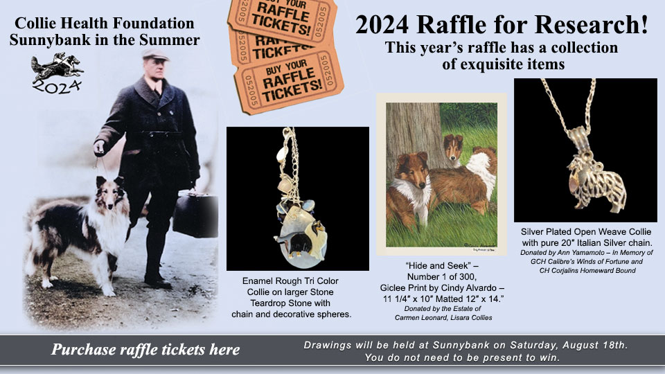 Collie Health Foundation -- Sunnybank Raffle for Research!