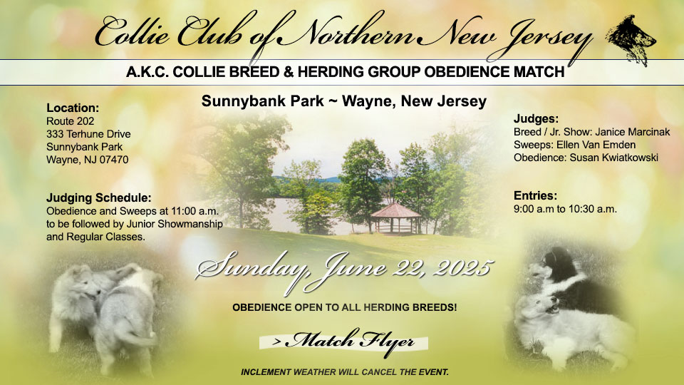 Collie Club of Northern New Jersey -- 2025 Collie Breed and Herding Group Obedience Match