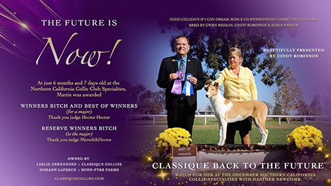 Classique Collies / Bonn-Fyre Farms -- Classique Back To The Future