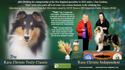 Kara Christo Collies --Kara Christo Truly Classic / Kara Christo Independent