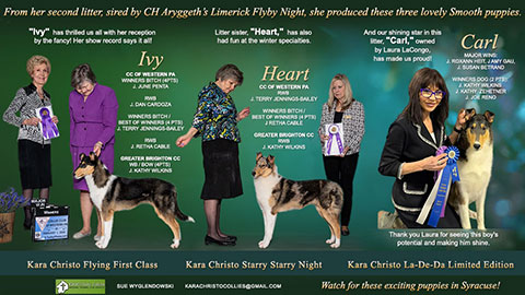 Kara Christo Collies -- Kara Christo Flying First Class / Kara Christo Starry Starry Night / Kara Christo La-De-Da Limited Edition