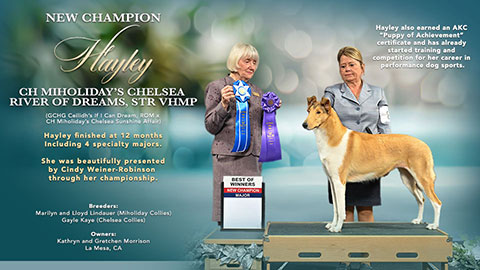 Gretchen Morrison -- CH MiHoliday's Chelsea River Of Dreams STR VHMP