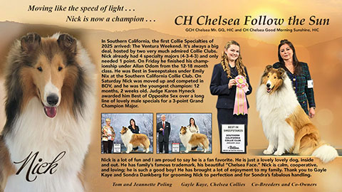 Tom and Jeannette Poling / Gayle Kaye, Chelsea Collies -- CH Chelsea Follow The Sun