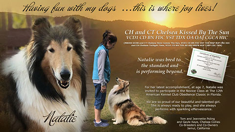 Tom and Jeannette Poling -- CH CT Chelsea Kissed by the Sun VCD1 CD BN FDC VST TDX OA OAJ CGCA HIC