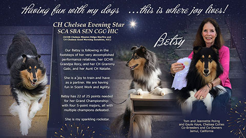 Tom and Jeannette Poling -- Tom and Jeannette Poling -- CH Chelsea Evening Star, SCA SBA SEN CGC HIC