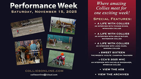Performance Week 2025-- Saturday, November 15, 2025