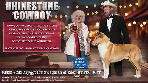 Sherier Place Collies -- GCHS Aryggeth's Swagman Of Eden HT FDC BCAT