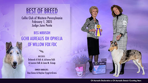 Dee Gross / Haylee Siegrest-Gross -- GCHB Aurealis Oh Ophelia Of Willow Fox FDC