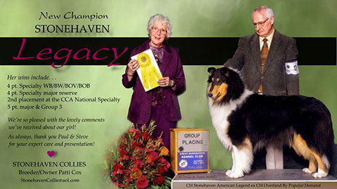 Stonehaven Collies -- CH Stonehaven Legacy